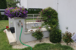 Tedls H&uuml;ttenwerke, Kellerabgang