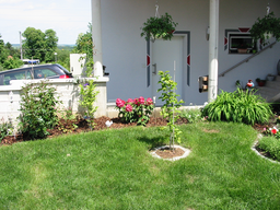 Tedls H&uuml;ttenwerke, 