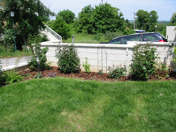 Tedls H&uuml;ttenwerke, 