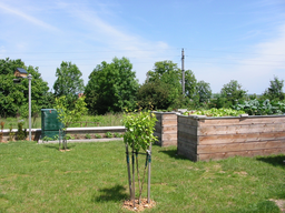 Tedls H&uuml;ttenwerke, 