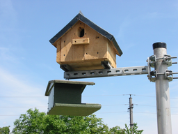 Tedls H&uuml;ttenwerke, 