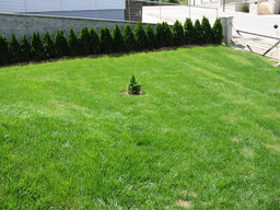 Tedls H&uuml;ttenwerke, 