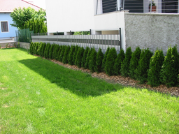 Tedls H&uuml;ttenwerke, 