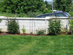 Tedls H&uuml;ttenwerke, 